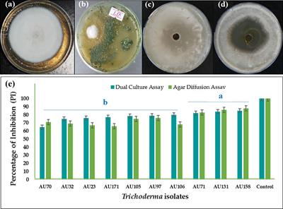 Biological management of coffee wilt disease (Fusarium xylarioides) using antagonistic Trichoderma isolates